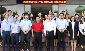 廣藥集團(tuán)考核組到總廠進(jìn)行黨建廉建考核工作