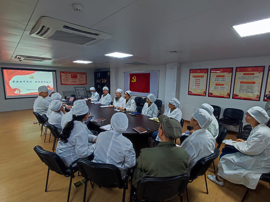 重溫新年賀詞  暢談新年規(guī)劃——第二、三黨支部開展主題黨日活動